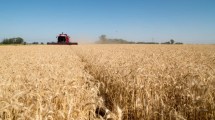 Imagen de Las exportaciones crecieron un 45% su volumen desde 2023: la suba que empujó el sector agroindustrial este cuatrimestre