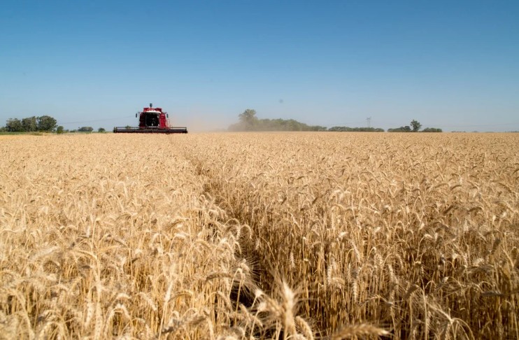 Las exportaciones del sector agroindustral subieron en 2026. Foto: Gentileza NA, 
