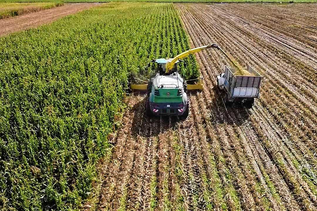 Fabián Miro comenzó con 87 hectáreas de maíz en Río Negro, y ahora presta servicios en aproximadamente 1.800 hectáreas en la provincia.