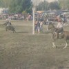 Imagen de A 40 años de su primera edición y tras su pausa en 2025, regresa una emblemática fiesta de la ganadería de la Patagonia
