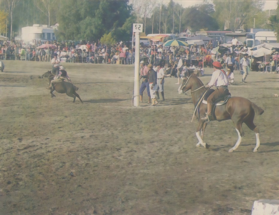 Foto de la 19° edición de la Fiesta Provincial del Ternero, en Río Negro. Es un importante evento de la ganadería en la Patagonia. Foto: archivo.