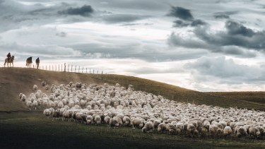 Patagonia indómita, no salvaje: el rol de la agricultura regenerativa