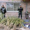 Imagen de Golpe al narcotráfico en el Alto Valle: Gendarmería incautó más de 24 kilos de marihuana