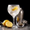 Imagen de Un evento de gin que promete una noche distinta en el Hilton Garden Inn Neuquén ya tiene fecha