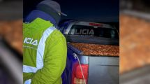 Imagen de Secuestraron más de dos toneladas de piñones en Junín de los Andes que eran transportados en camionetas