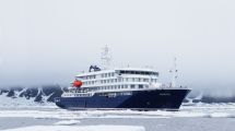 Imagen de Brote de hantavirus en un crucero: desde Tierra del Fuego esperan un reporte de Nación para iniciar un rastreo