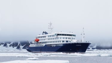 Brote de hantavirus en un crucero: desde Tierra del Fuego esperan un reporte de Nación para iniciar un rastreo