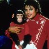 Imagen de Qué fue de Bubbles, el famoso chimpancé de Michael Jackson: así vive hoy lejos de la fama