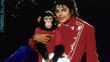 Qué fue de Bubbles, el famoso chimpancé de Michael Jackson: así vive hoy lejos de la fama