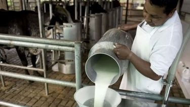 Mala leche: La industria láctea argentina, en un precario equilibrio