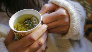 El té antiarrugas que activa el colágeno y mejora la piel desde adentro: cómo tomarlo correctamente