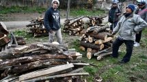 Imagen de La leña del Plan Calor en Bariloche llegará a 500 familias más: son 4.300 beneficiarios