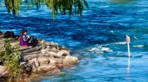 Imagen de Aumentó el caudal del río Limay, aguas abajo de Arroyito: los valores previstos hasta el 25 de mayo