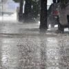 Imagen de Alerta por lluvia y niebla en la Patagonia: las diez provincias afectadas este domingo 31 y los peores horarios