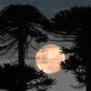 Imagen de "La más alta del año": a qué hora se verá la luna de Fresa y por qué tendrá un brillo único en la Patagonia