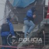 Imagen de Hallaron un gato muerto en Neuquén e investigan si lo atacaron perros que vivían encerrados en un balcón