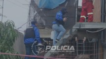 Imagen de Hallaron un gato muerto en Neuquén e investigan si lo atacaron perros que vivían encerrados en un balcón