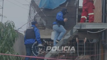 Hallaron un gato muerto en Neuquén e investigan si lo atacaron perros que vivían encerrados en un balcón