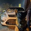 Imagen de Máximo detectó más de un kilo de droga en un control sobre la Ruta 22 y hay dos detenidos