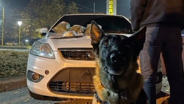 Máximo detectó más de un kilo de droga en un control sobre la Ruta 22 y hay dos detenidos