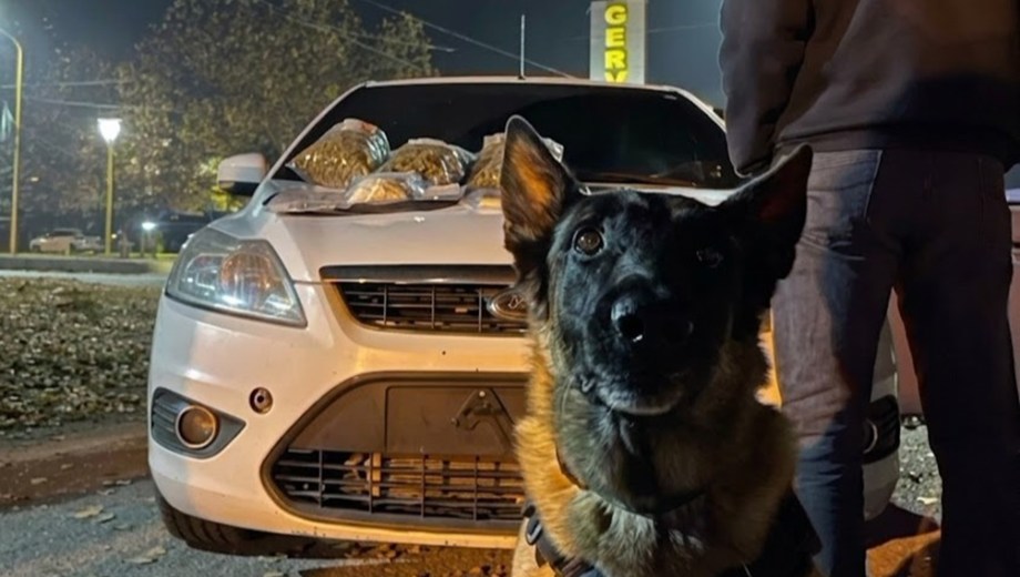 Máximo descubrió cocaína y marihuana en un control de Cervantes. Foto: Policía de Río Negro.