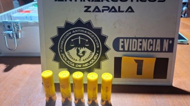 Golpe al microtráfico en Cutral Co y Plaza Huincul: secuestraron droga, dinero y municiones
