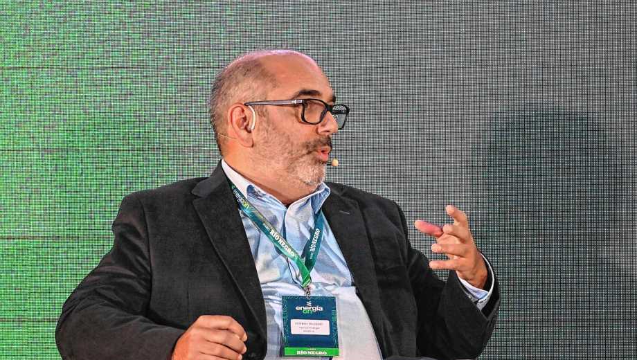 Falcigno adelantó Pampa Energía está diseñando una CPF que va a concentrar toda la producción y demandará una inversión que ronda los 300 millones de dólares. Foto: Florencia Salto.