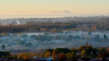 Imagen de Niebla densa en el Alto Valle: precaución por calles y rutas con baja visibilidad este miércoles 13 de mayo