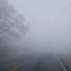 Imagen de Alerta por lluvias y niebla en Neuquén: cómo están las rutas nacionales y los pasos a Chile este jueves
