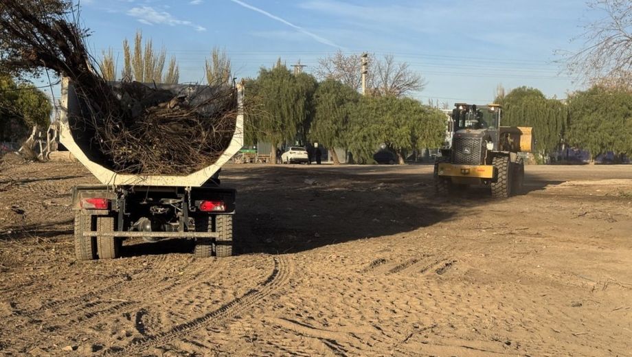 Las tareas comenzaron con un importante operativo de limpieza y desmalezamiento en el sector lindante a las vías del ferrocarril. Foto: municipio de Cipolletti. 