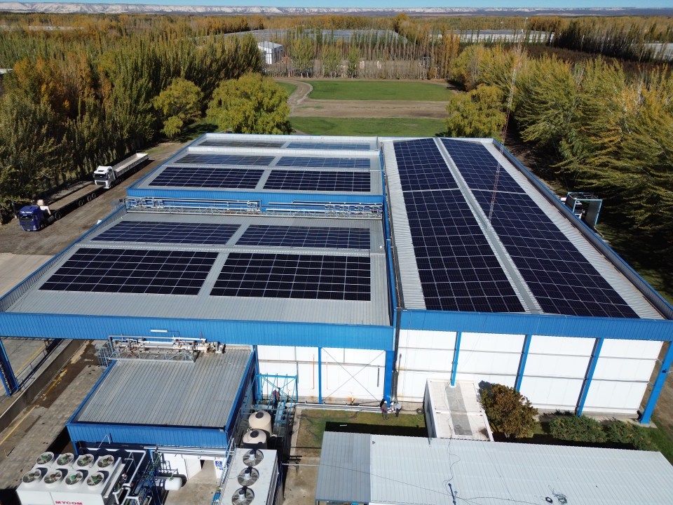 Paneles solares instalados por ArgenWare en el norte de la Patagonia. Hasta la fecha, Rodriguez acumula alrededor de 250 proyectos, algunos como consultoría y otros materializados. 