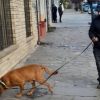 Imagen de Sexto día de búsqueda de Analía Corte, la mujer desaparecida en Bariloche: el dato que guía los rastrillajes