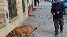 Imagen de Sexto día de búsqueda de Ana Lía Corte, la mujer desaparecida en Bariloche: el dato que guía los rastrillajes