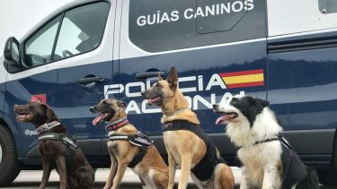 Encontraron al argentino de 52 años que era intensamente buscado en España: estaba desorientado