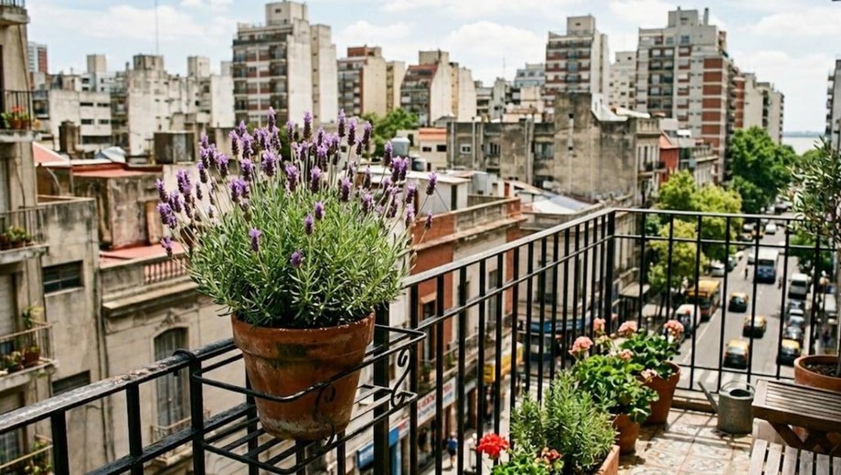 Las 5 plantas que podés tener en tu balcón durante todo el invierno sin miedo a que se arruinen.