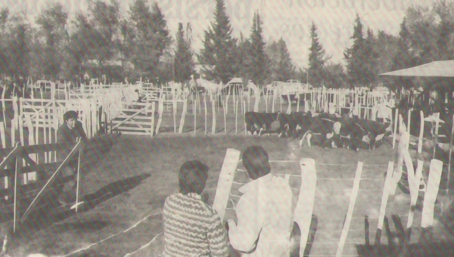 Foto de la 1° Fiesta Provincial del Ternero, en Choele Choel (Río Negro). 40 años después, se sigue celebrando. Foto: archivo.