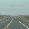Imagen de Cómo están las rutas de Neuquén y Río Negro este viernes: los sectores más complicados por la lluvia y la niebla