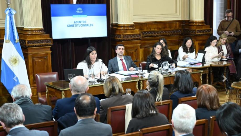 Falta de consensos para la reforma electoral. Foto: Gentileza Senado. 