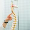 Imagen de Cuando el dolor de espalda no es “normal”: qué es la espondiloartritis axial y cómo detectarla