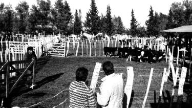 A 40 años de su primera edición y tras su pausa en 2025, regresa una emblemática fiesta de la ganadería de la Patagonia