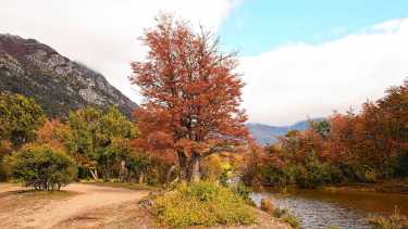 Villa Traful en otoño e invierno: nieve, bosques y una escapada tranquila en la Patagonia