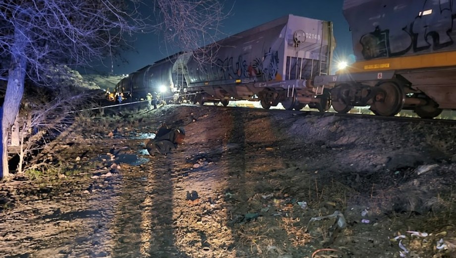 Un hombre murió al ser arrollado por un tren de cargas en Villa Regina. Foto: Gentileza.