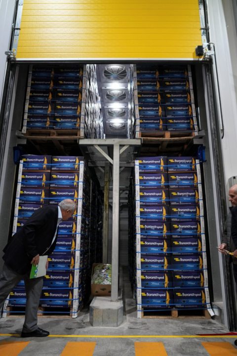 Por dentro: el primer centro de climatización inteligente de frutas de la Patagonia.