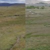 Imagen de Mallines: intervenir el agua para transformar la producción en la Patagonia