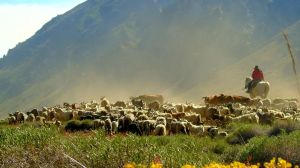En busca del mejor pueblo del mundo: por qué Varvarco, en el norte neuquino, es el gran candidato