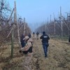 Imagen de Robaron dos yeguas de carrera y hallaron restos faenados, pollos robados y un arma en una chacra de Mainqué