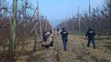 Robaron dos yeguas de carrera y hallaron restos faenados, pollos robados y un arma en una chacra de Mainqué