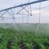 Imagen de Río Negro dio un paso clave para un financiamiento estratégico del BID por 85 millones de dólares para fortalecer la producción y el desarrollo rural