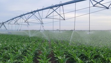 Río Negro dio un paso clave para un financiamiento estratégico del BID por 85 millones de dólares para fortalecer la producción y el desarrollo rural
