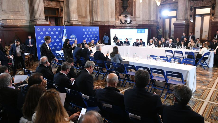 En el Senado continúa el análisis de los proyectos que proponen modificar el régimen vigente de biocombustibles. Foto gentileza.